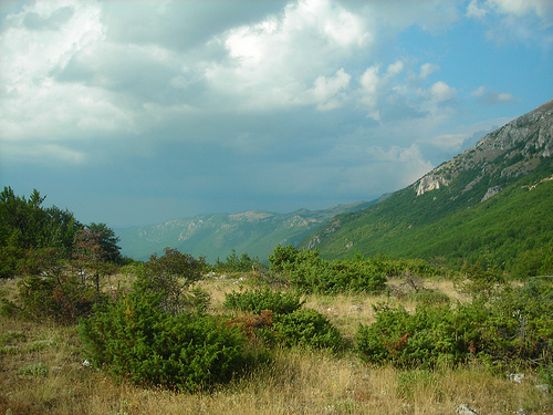 Galičica National Park